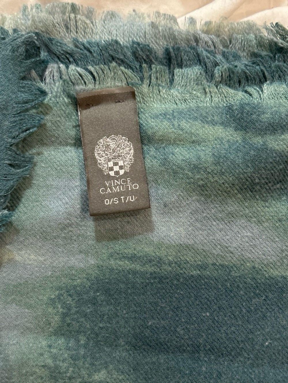 Vince Camuto Green Blue Ombre Fringed Scarf